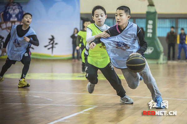 如何借助专业篮球教练提升个人声誉_1